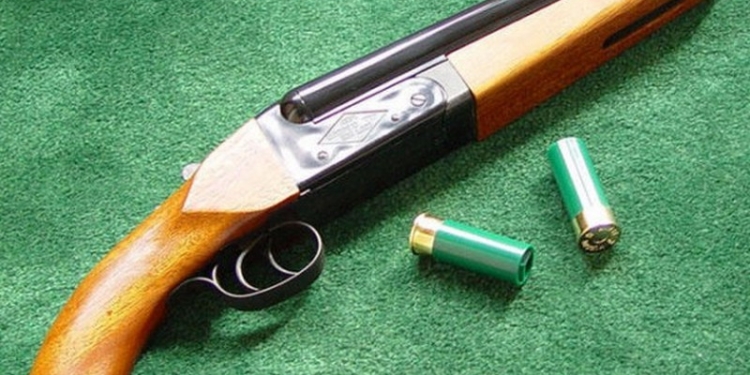 «С помощью кольта и доброго слова»: дело банды, грабившей жителей Николаевской области, направлено в суд