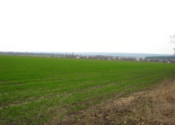 Николаевская область засеяла 50% запланированных под ранние зерновые площадей