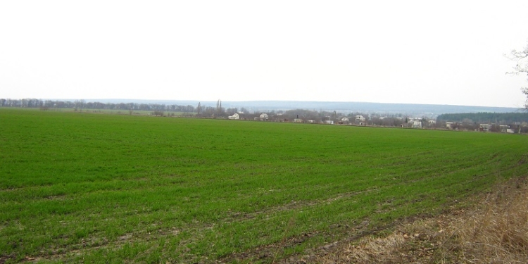 Николаевская область засеяла 50% запланированных под ранние зерновые площадей