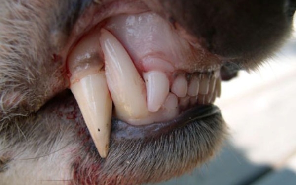 Кабмин одобрил законопроект об Антикоррупционном бюро