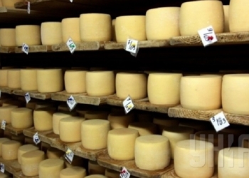 Сыр «Российский» и масло из Николаевской области Россельхознадзор не пропустил в оккупированный Крым