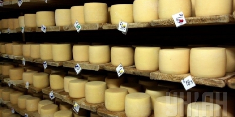 Сыр «Российский» и масло из Николаевской области Россельхознадзор не пропустил в оккупированный Крым