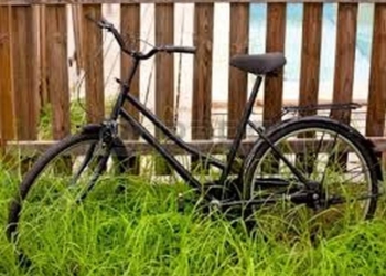 Не очень равноценный чендж: похитив у знакомого мопед, 35-летний вознесенец оставил ему свой велосипед