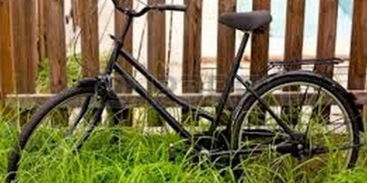 Не очень равноценный чендж: похитив у знакомого мопед, 35-летний вознесенец оставил ему свой велосипед