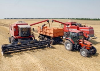 Украина экспортировала около 25 млн. тонн зерна