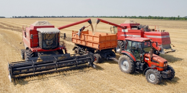 Украина экспортировала около 25 млн. тонн зерна