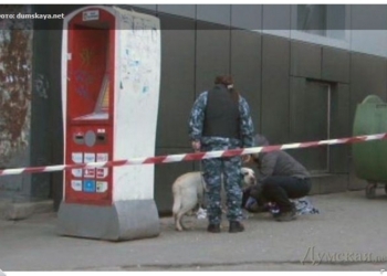 Взрывчатку в оставленной сумке обнаружила собака