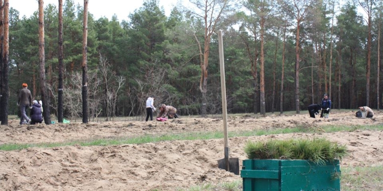 Николаевские волонтеры берут на контроль нелегальные перевозки мусора