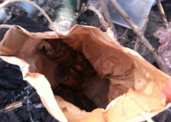 В Одессе нашли тайник с шашками «ШИРАС-М»