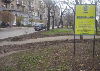 Николаевец за свой счет высадил 110 деревьев в сквере «Привокзальный»
