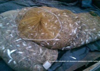 На Тендровской косе задержали браконьера с 53 тысячами креветок