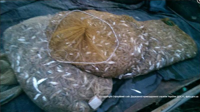 На Тендровской косе задержали браконьера с 53 тысячами креветок 1