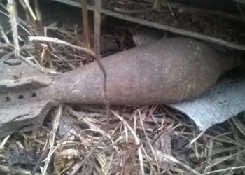 В Николаевской области пиротехники обезвредили 5 взрывоопасных предметов