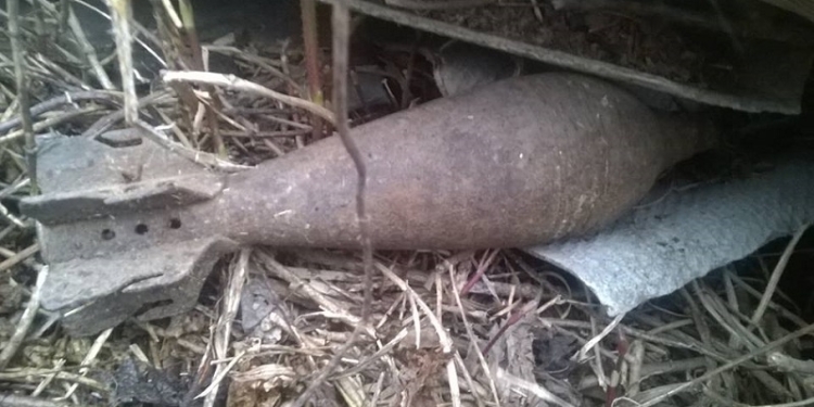 В Николаевской области пиротехники обезвредили 5 взрывоопасных предметов