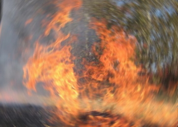 На Пасху возле Баштанки лесники вместе с отдыхающими тушили лесной пожар