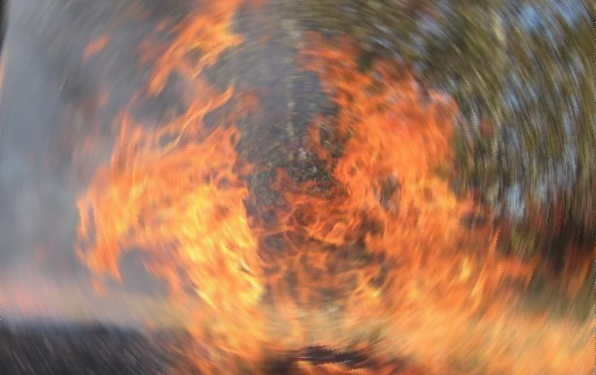 На Пасху возле Баштанки лесники вместе с отдыхающими тушили лесной пожар