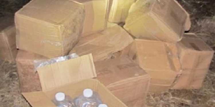 По-богатому: в поезде «Николаев-Москва» украинец вез больше 200 литров спирта