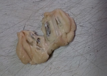 В Николаевский СИЗО пытались пронести запрещенные предметы в галушках