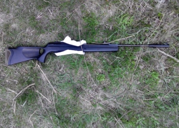 В Вознесенском районе мужик решил поохотиться на охраняемом объекте. Ружье изъято, в отношении охотника проводятся следственные действия