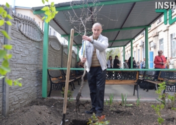 В Николаевской области стартовала акция «Посади вишню» – с надеждой на мир и в память об участниках АТО