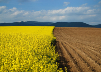 Это наша с тобою земля: Земельный фонд Николаевщины – 2,5 млн.га