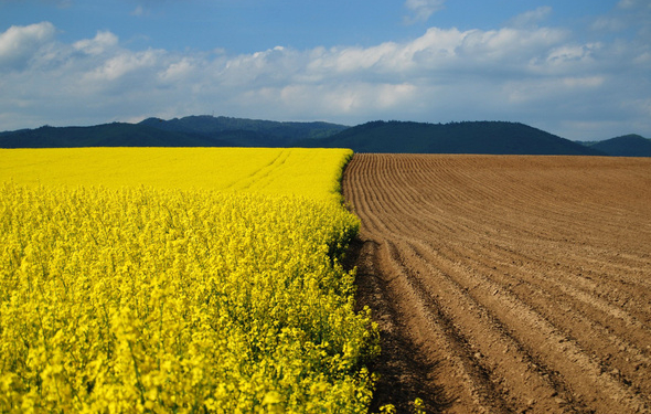 Это наша с тобою земля: Земельный фонд Николаевщины – 2,5 млн.га