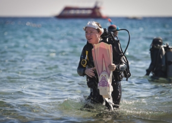 400 дайверов со всего мира cоберут мусор со дна Красного моря