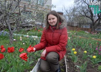 В Николаеве есть своя маленькая Голландия: «Тюльпанная радуга» Инны Токаревой