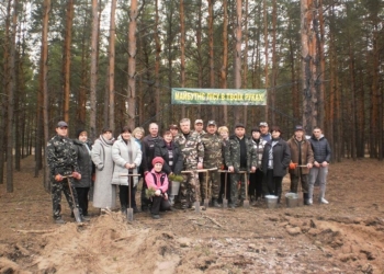 В Николаевской области посадили почти 9,61 га новых лесов и около 8 га лесов дополнили новыми саженцами