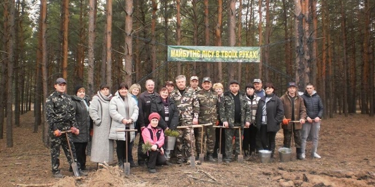 В Николаевской области посадили почти 9,61 га новых лесов и около 8 га лесов дополнили новыми саженцами