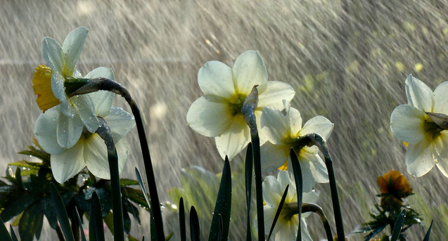 На майские праздники в Украину придут грозы с дождями