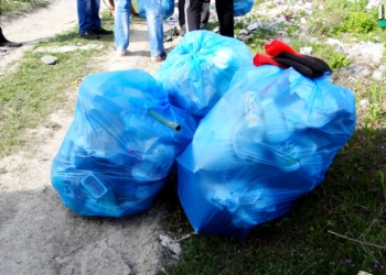 Доставка мусора на дом: для николаевских общественников все реально