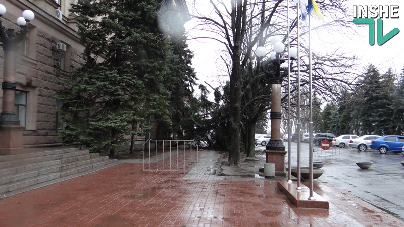 У Николаевского горисполкома упала 8-ми метровая ель 5