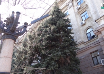 Быстро поднятое, упавшим не считается: в Николаеве упавшую ель “прикрутили” к зданию мэрии