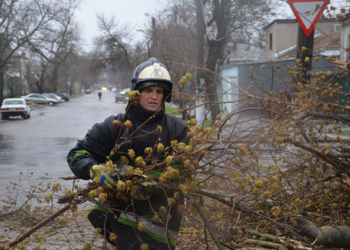 В Николаеве упало 112 деревьев, в области сносило крыши