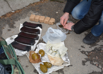 В Николаеве на ул.Декабристов задержали гражданина с гранатами и магазинами для автомата Калашникова