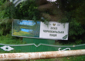 В зоне отчуждения горит “Чернобыльская пуща”