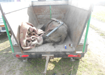 На Николаевщине правоохранители задержали шестерых браконьеров, которые самовольно открыли сезон охоты