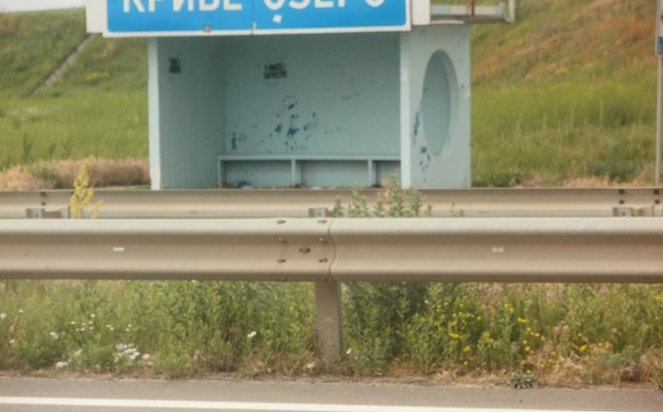 Министерство образования расторгло контракт с директором Кривоозерского аграрного лицея