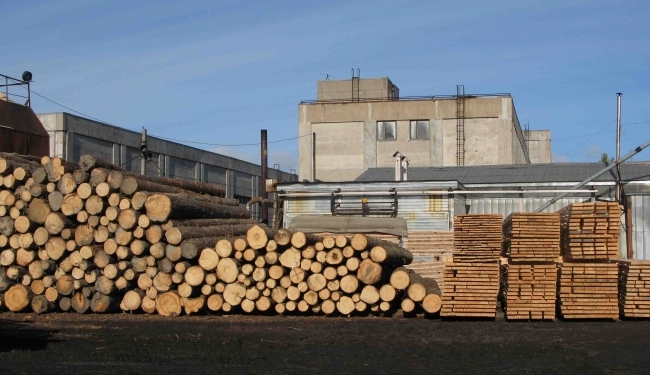 Рада установила мораторий на 10 лет на вывоз за границу древесины и пиломатериалов
