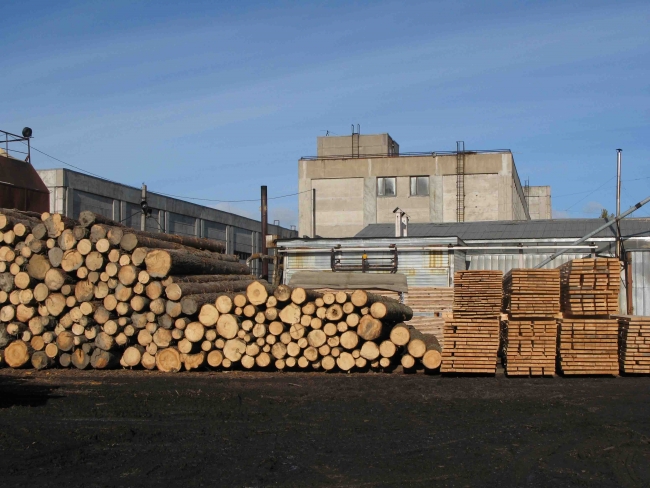 Санкційні російські і білоруські лісоматеріали продають в ЄС як казахстанські та киргизькі, – розслідування