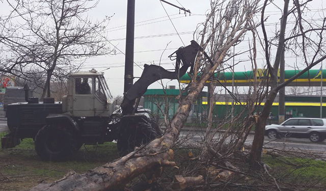 В Николаеве бушует непогода, спасатели в авральном режиме убирают упавшие деревья