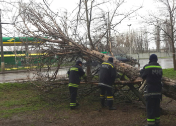 В Николаеве бушует непогода, спасатели в авральном режиме убирают упавшие деревья