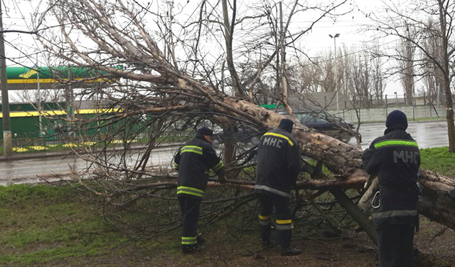 В Николаеве бушует непогода, спасатели в авральном режиме убирают упавшие деревья