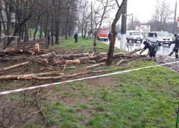 В Николаеве бушует непогода, спасатели в авральном режиме убирают упавшие деревья