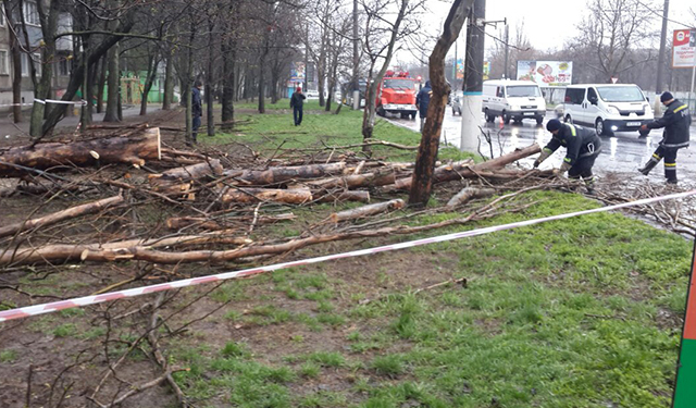 В Николаеве бушует непогода, спасатели в авральном режиме убирают упавшие деревья