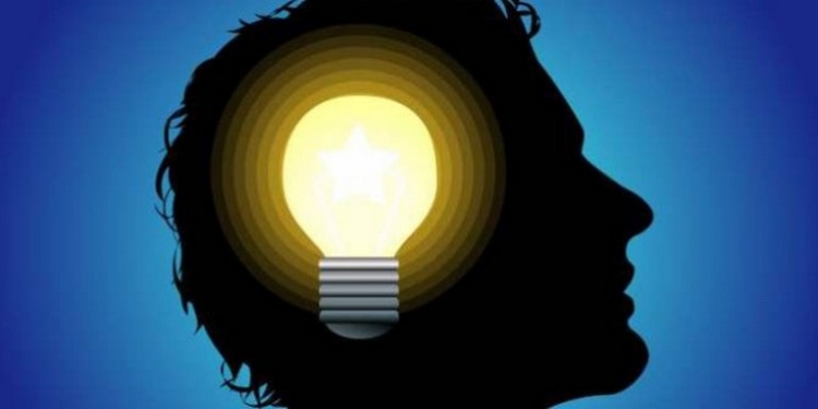 Интеллектуальную собственность в Николаевской области тоже защищают. Как могут