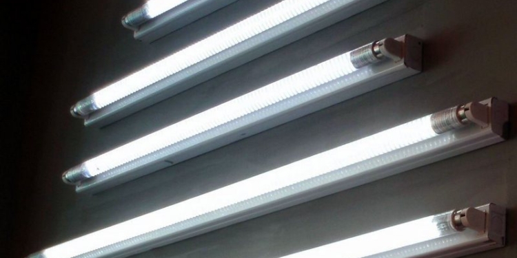 Николаевцы, есть шанс сдать отработанные люминесцентные лампы. Но только в течение трех дней