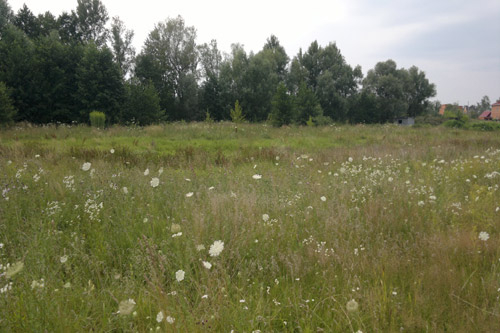 На Николаевщине арендатор в течение двух лет не платил государству за 26 гектар земли