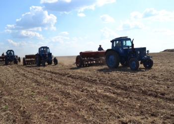 На Николаевщине 441 агроформирование с начала года превратилось в 2657 новых хозяйств